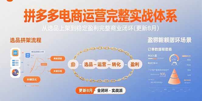 (8.5)拼多多电商运营完整实战体系，从选品上架到稳定盈利完整商业闭环(更新8月)